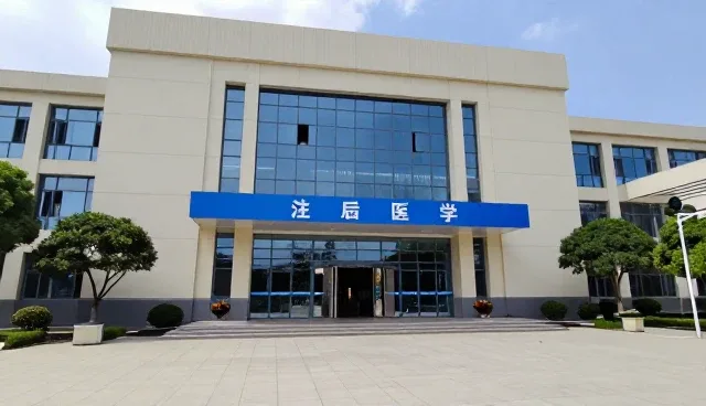 短视频拍摄内容质量提升的关键因素与实际应用
